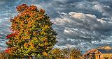 Autumn Clouds_P1200833-5